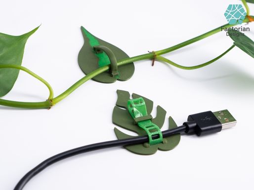3d model image