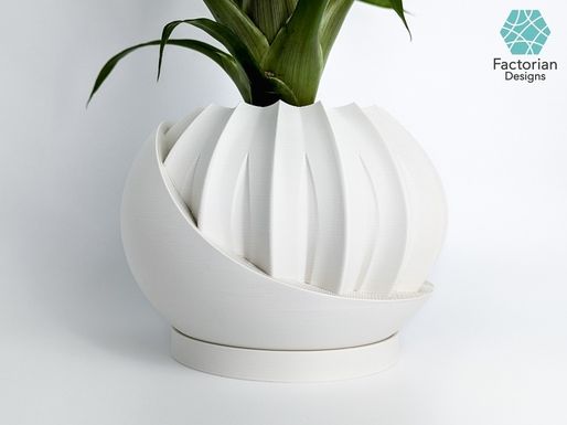 3d model image