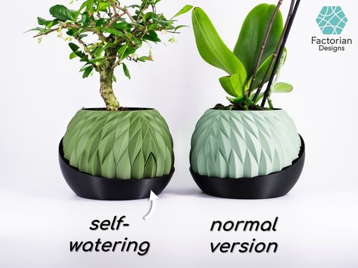 3d model image
